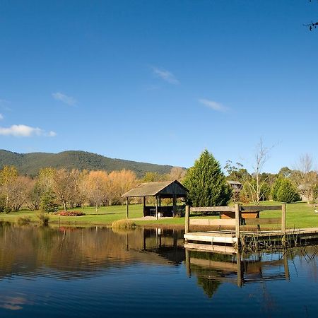 Sanctuary Park Cottages Healesville Bagian luar foto