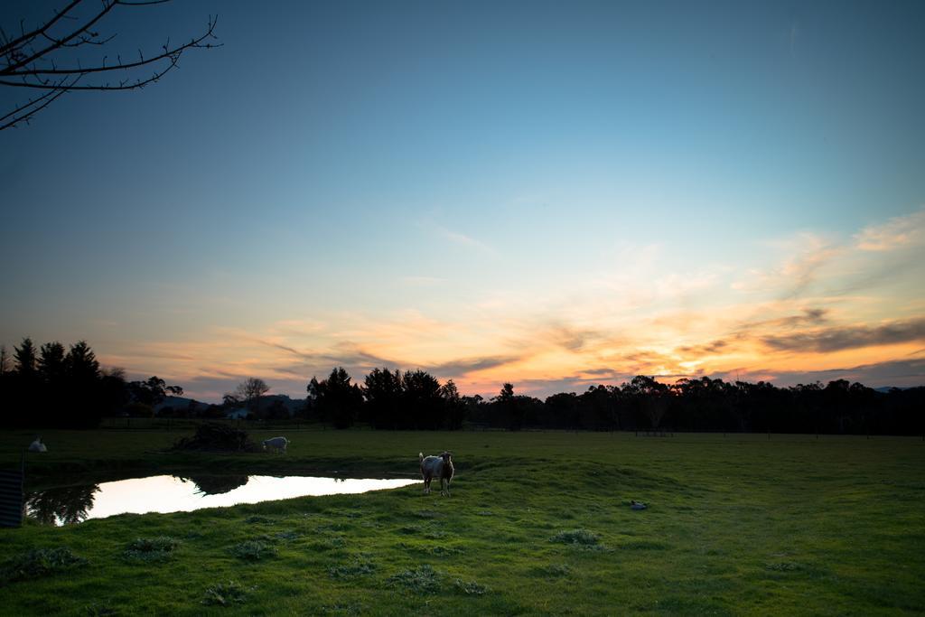 Sanctuary Park Cottages Healesville Bagian luar foto