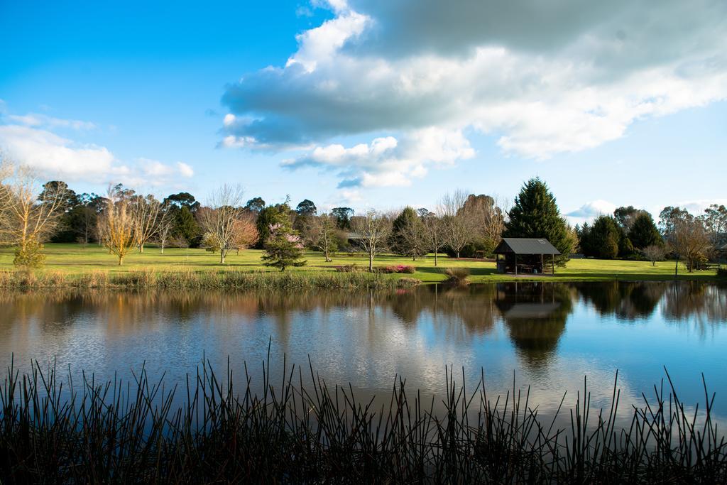 Sanctuary Park Cottages Healesville Bagian luar foto