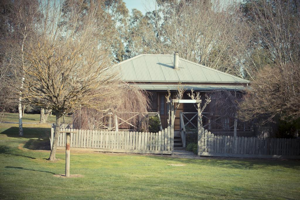 Sanctuary Park Cottages Healesville Bagian luar foto