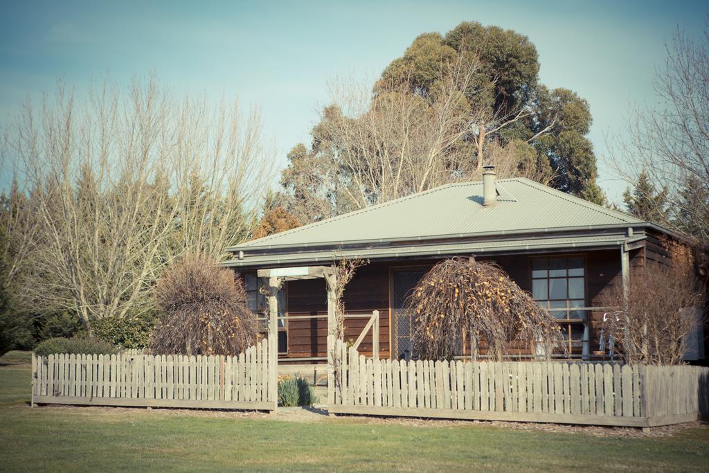 Sanctuary Park Cottages Healesville Bagian luar foto