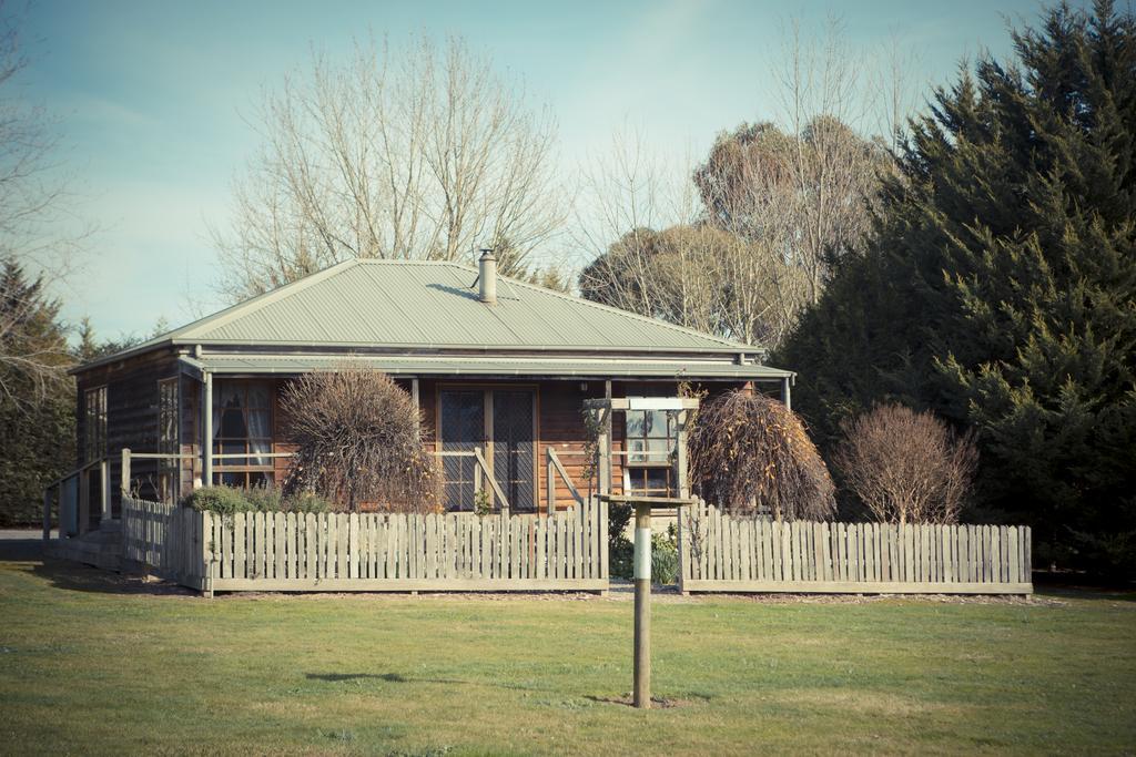 Sanctuary Park Cottages Healesville Ruang foto