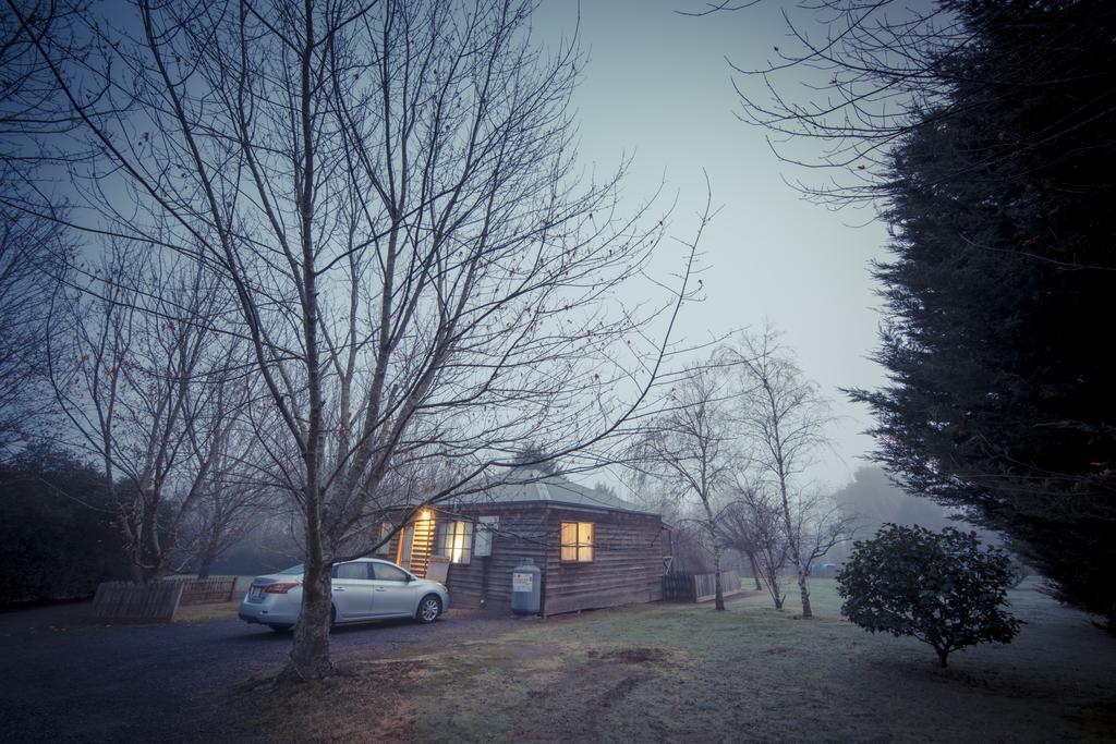 Sanctuary Park Cottages Healesville Bagian luar foto