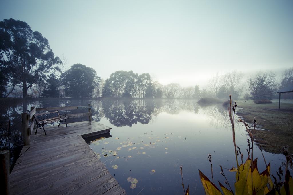 Sanctuary Park Cottages Healesville Bagian luar foto