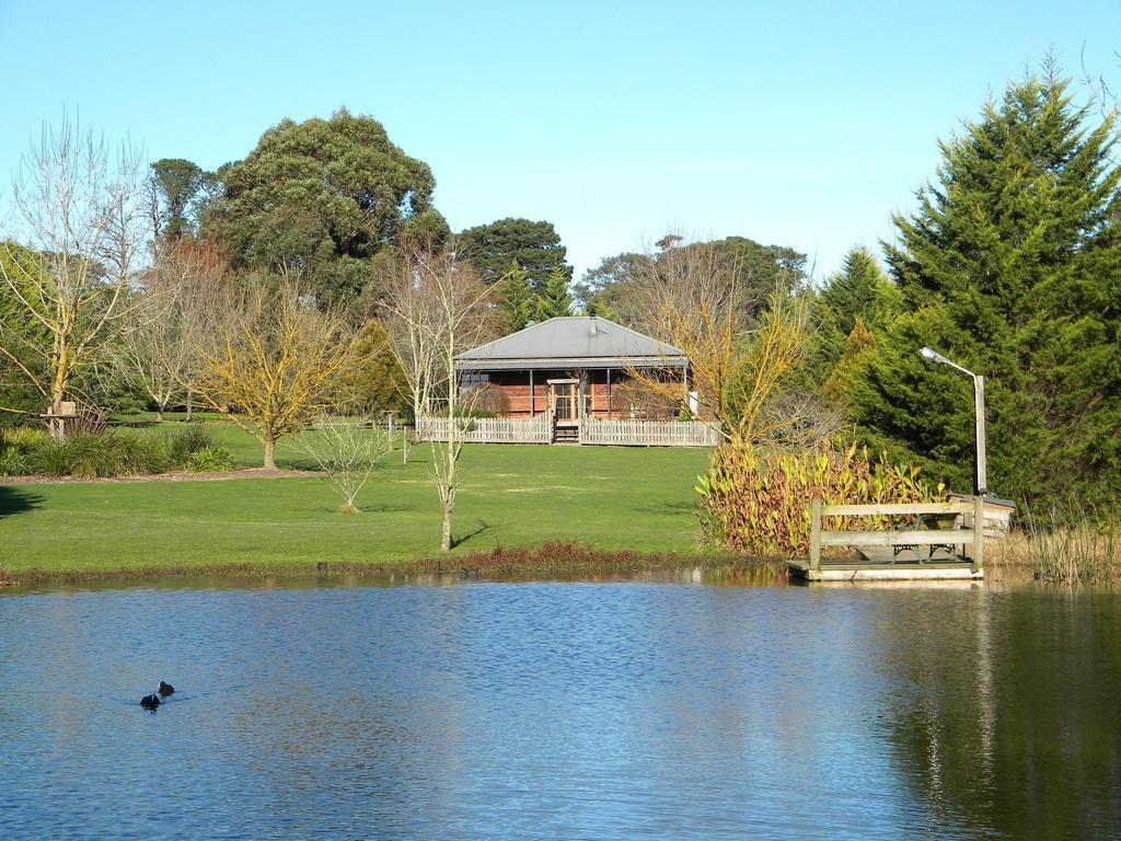 Sanctuary Park Cottages Healesville Ruang foto