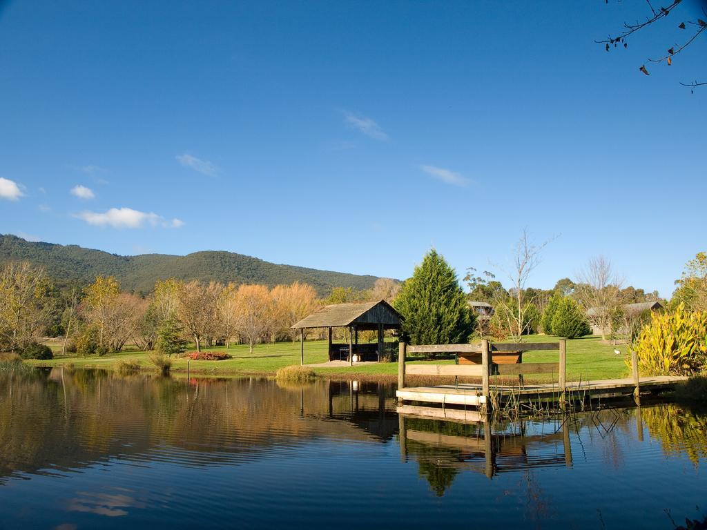 Sanctuary Park Cottages Healesville Bagian luar foto