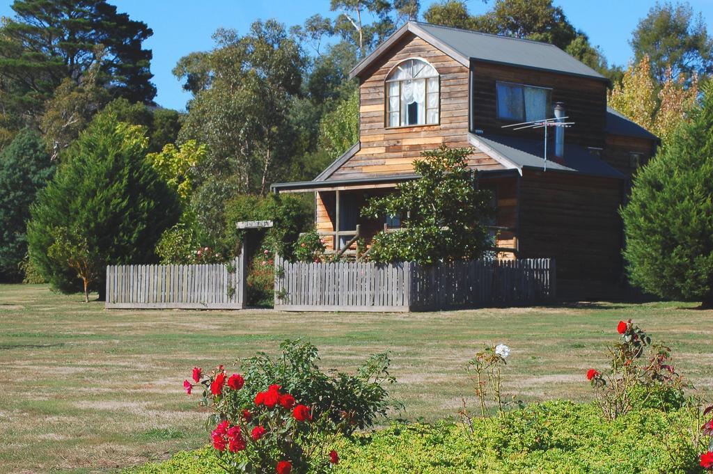 Sanctuary Park Cottages Healesville Ruang foto