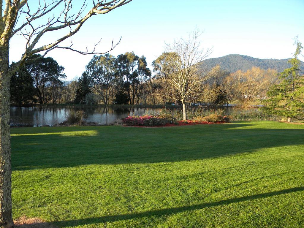 Sanctuary Park Cottages Healesville Bagian luar foto