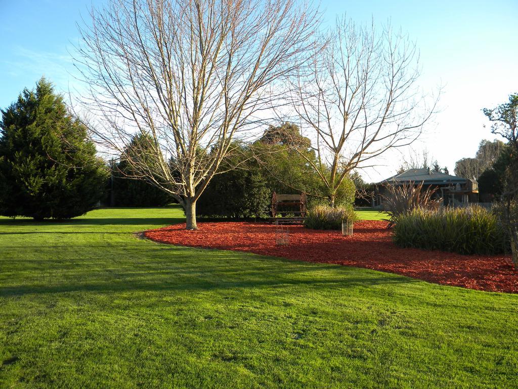 Sanctuary Park Cottages Healesville Bagian luar foto